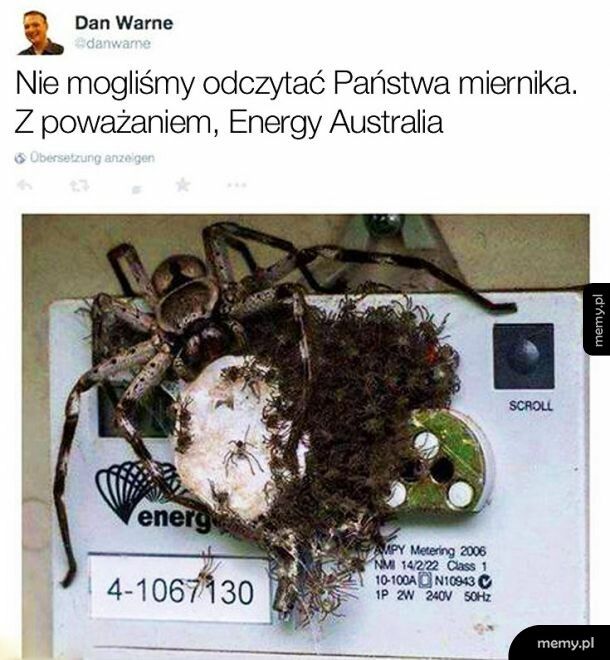 Tymczasem w Australii