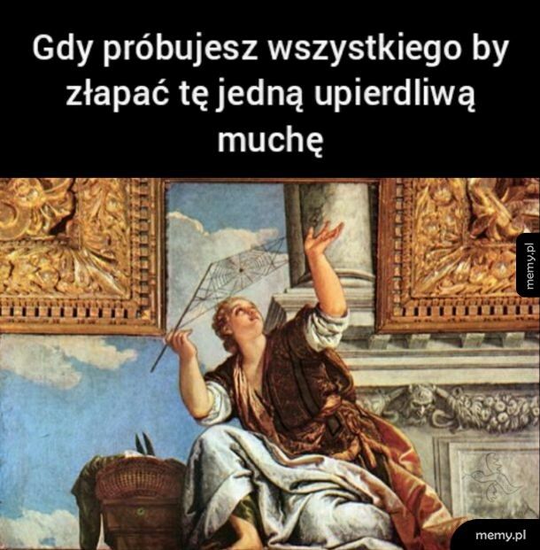 Te muszyska...