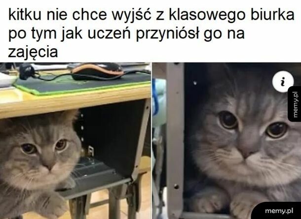 Ćśśś,chowam się, nie wydaj mnie