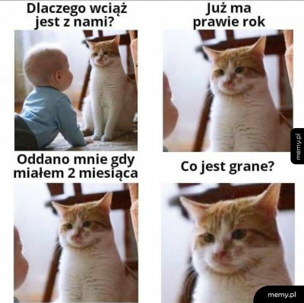 O co tu chodzi?