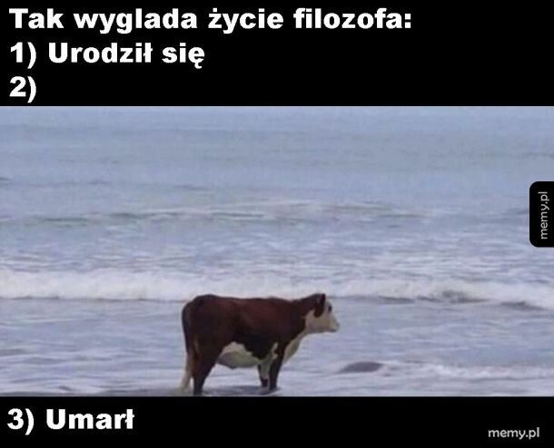 Życie filozofa