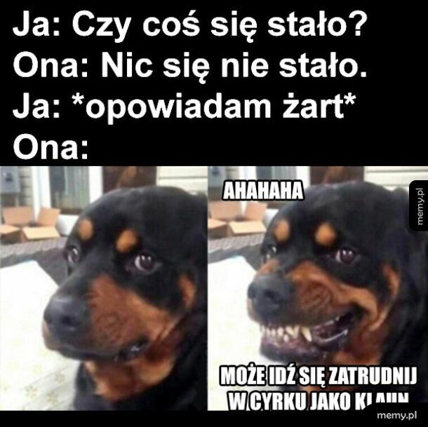 Żarciki z dziewczyną