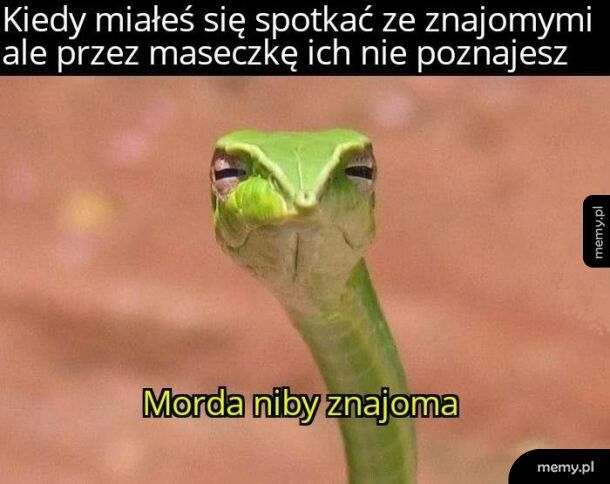 Spotkanie ze znajomymi