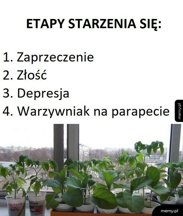 Etapy starzenia się