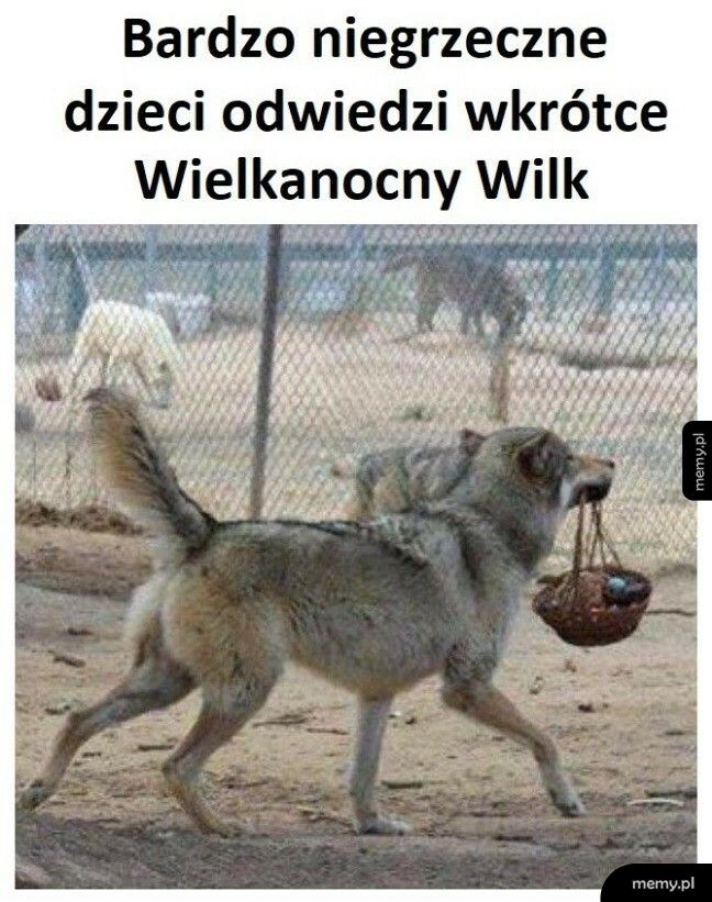 Wielkanocny Wilk