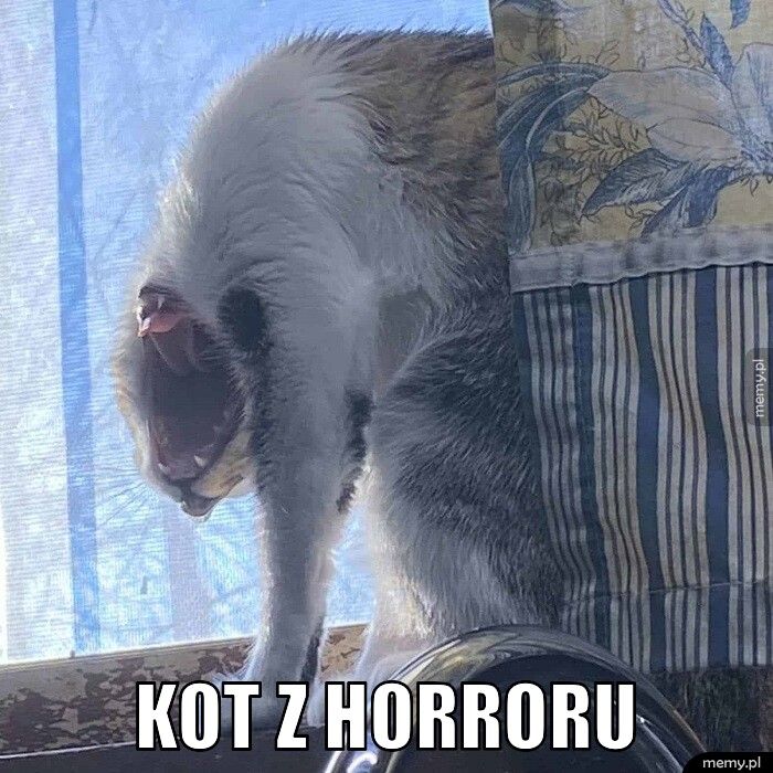         Kot z horroru