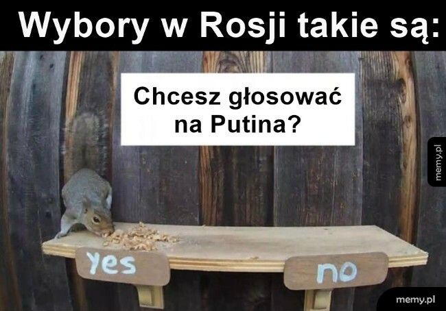 Wybory w Rosji