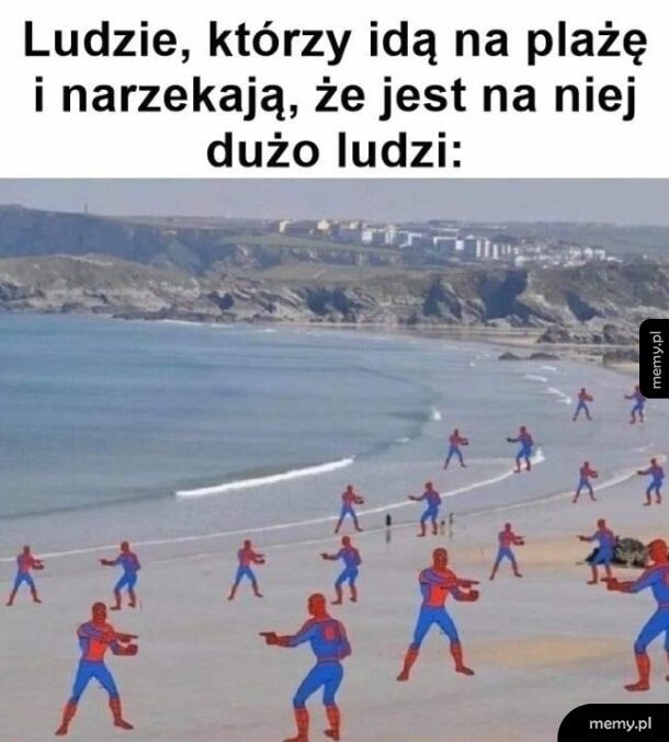 Tylu się ich tutaj zjechało...