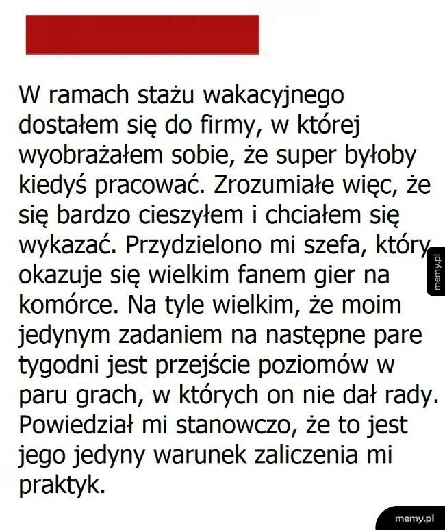 Wakacyjny staż