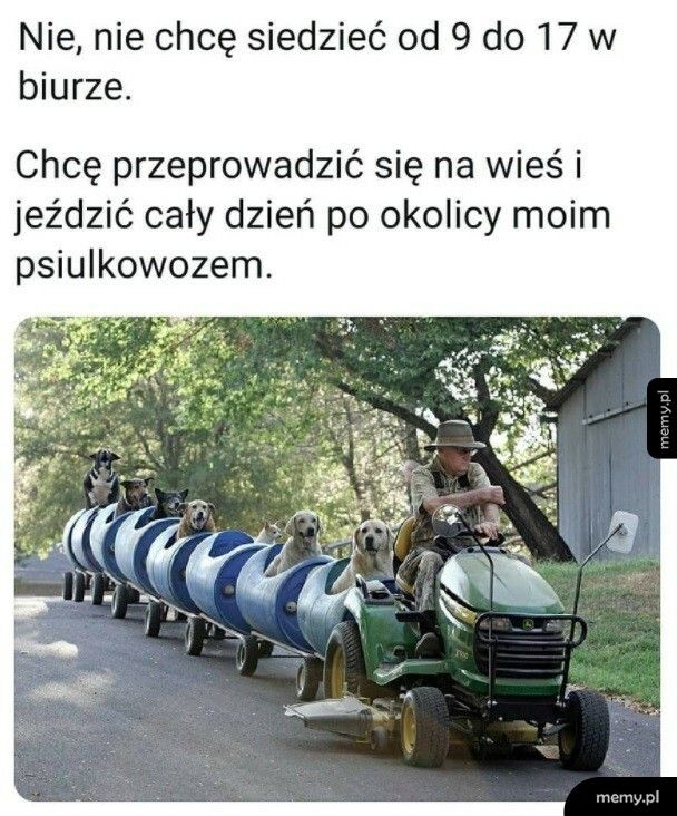 Plan na życie