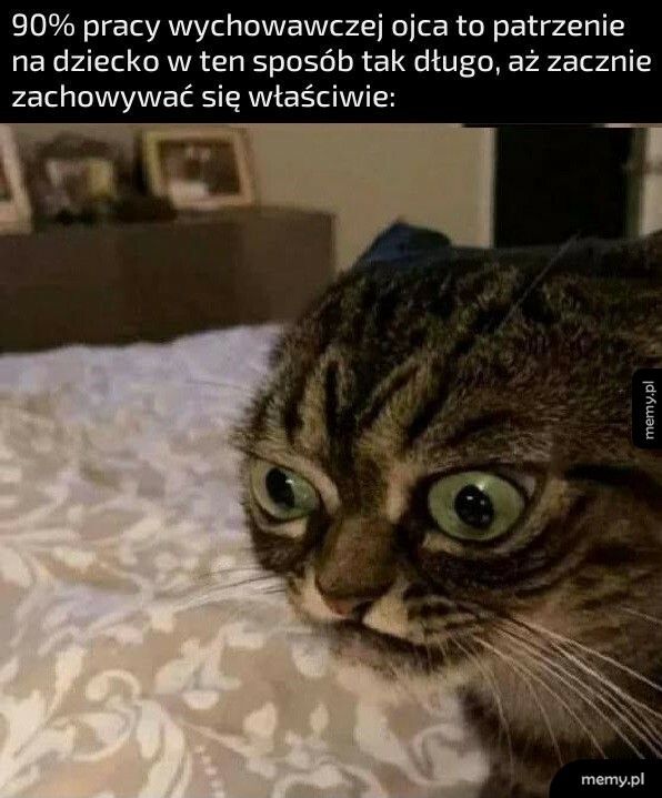 Praca wychowawcza ojca