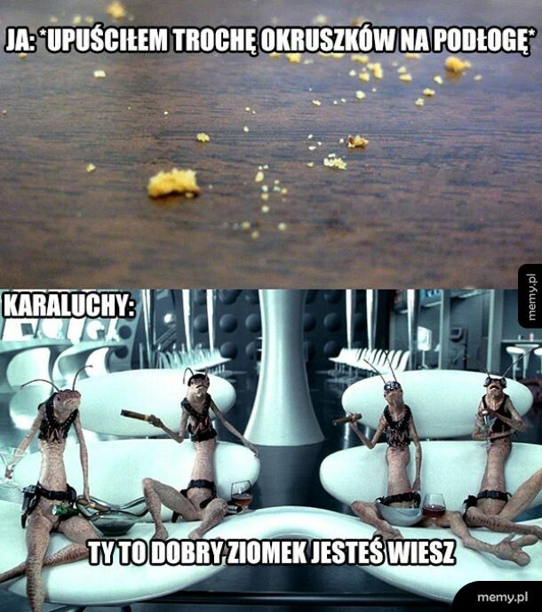 Dobry ziomek