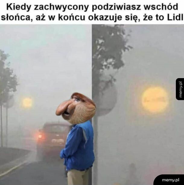 Słoneczko śliczne