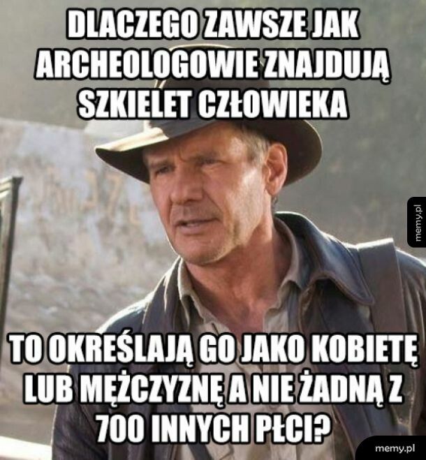 Szkielet człowieka