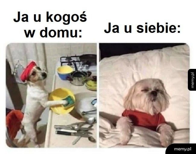 Ja u kogoś vs. Ja u siebie