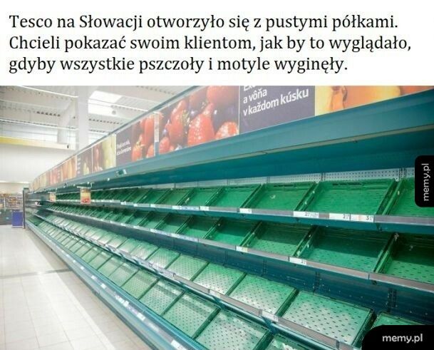 Dosadny przekaz