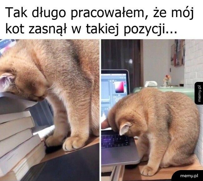 Skapitulował