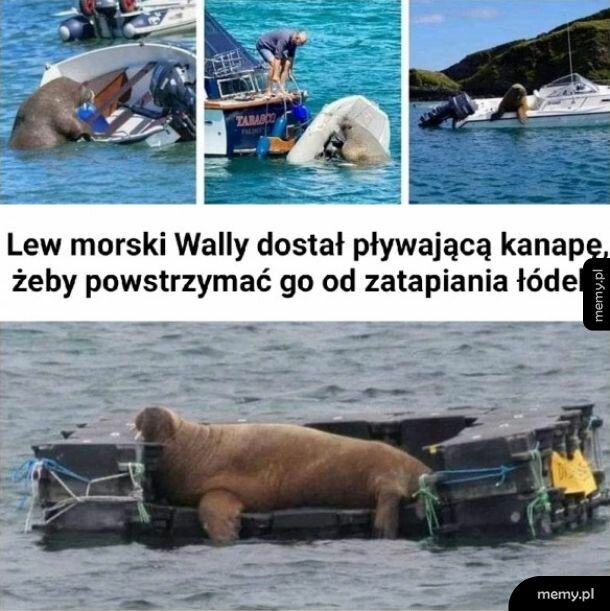 Osobista pływająca kanapa