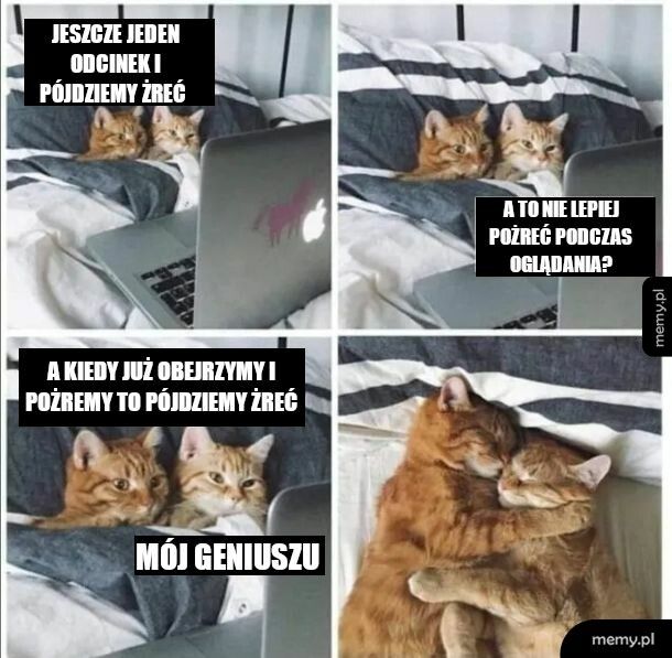 To brzmi jak najlepszy plan