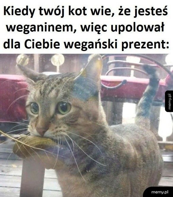 Wegański prezent