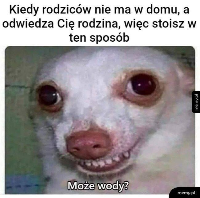 Przyjęcie gości