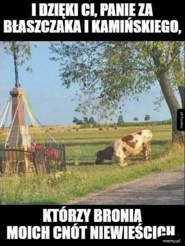 Wdzięczna trzoda