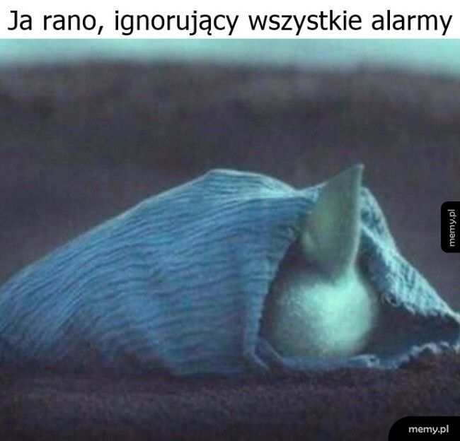 Nic nie słyszę