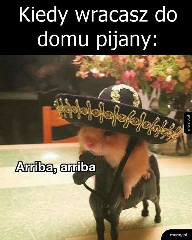 Arriba, arriba