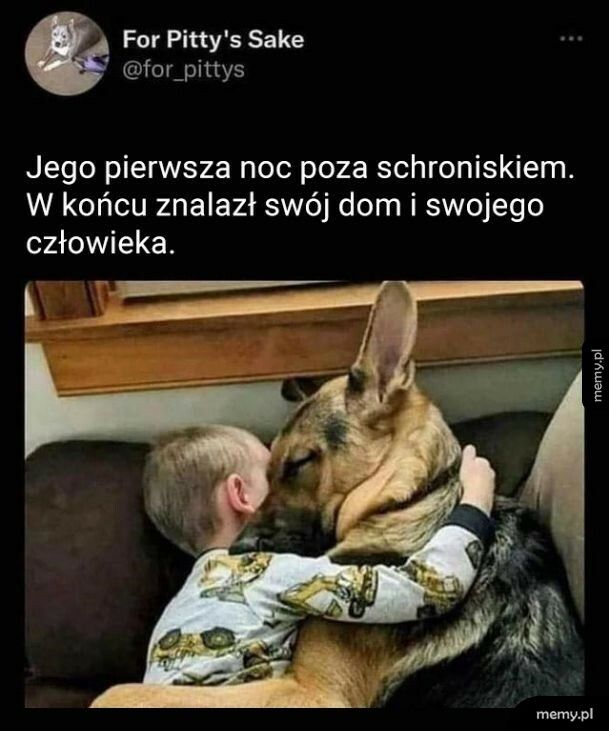 Początek pięknej przyjaźni