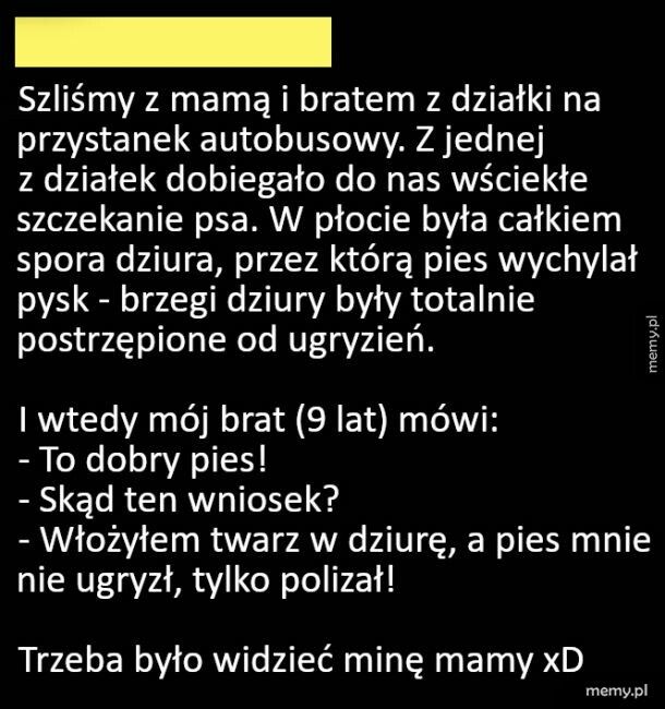 Dzieci to jednak głupie są