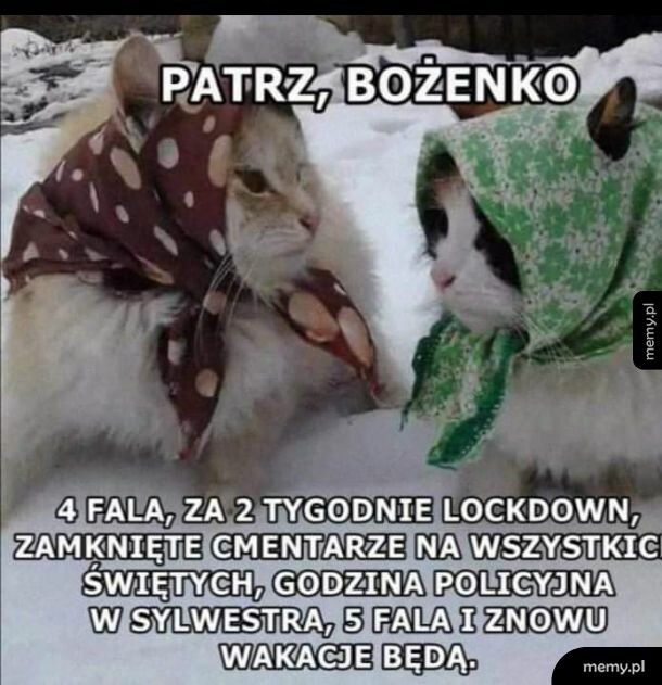 I tak to leci ten czas