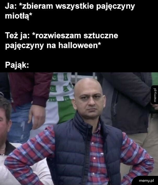 Pajęczyny