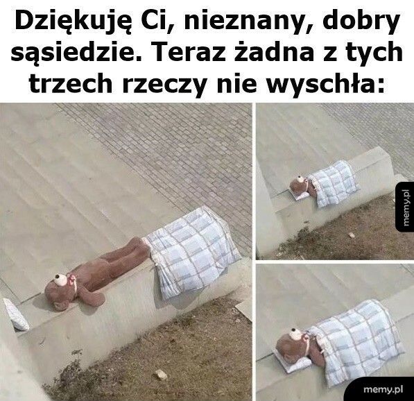 Zamiary były dobre