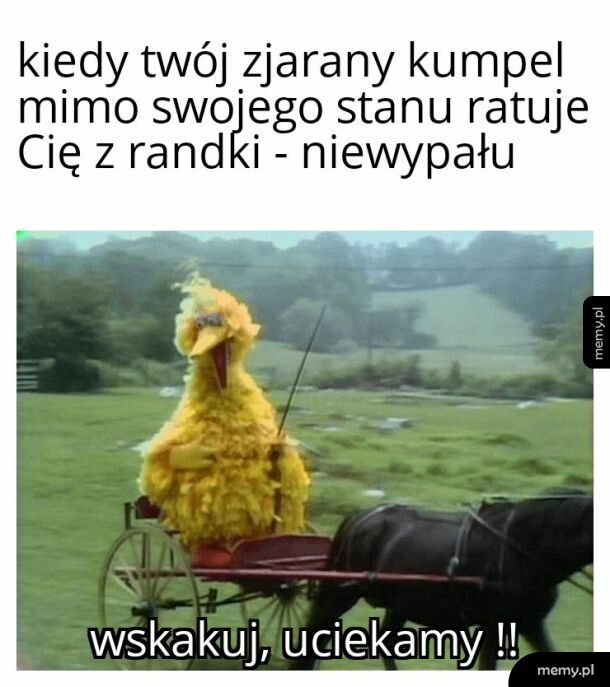 Na dobrego kumpla zawsze można liczyć