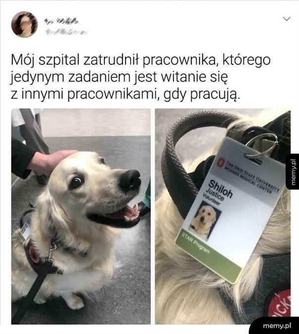 Specjalny pracownik