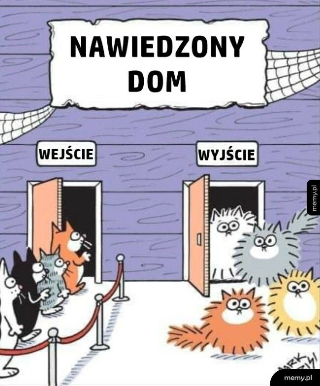 Nawiedzony dom