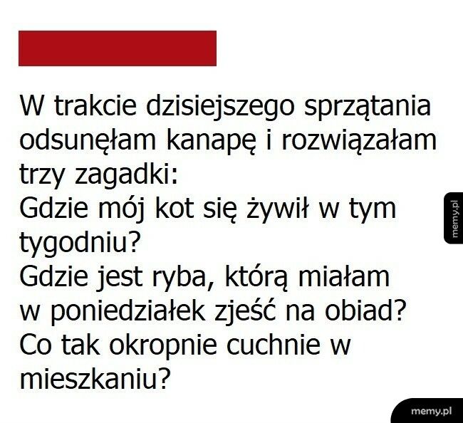 Zagadka rozwiązana