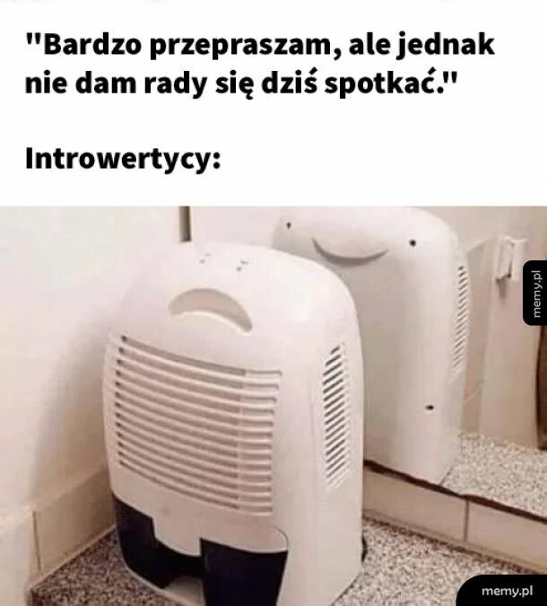 Introwertycy