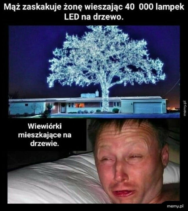 Niespodzianka dla żony