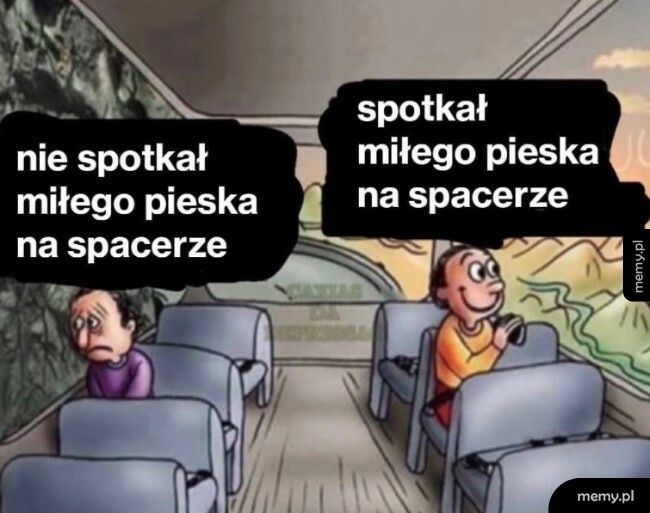 Miły piesek na spacerze