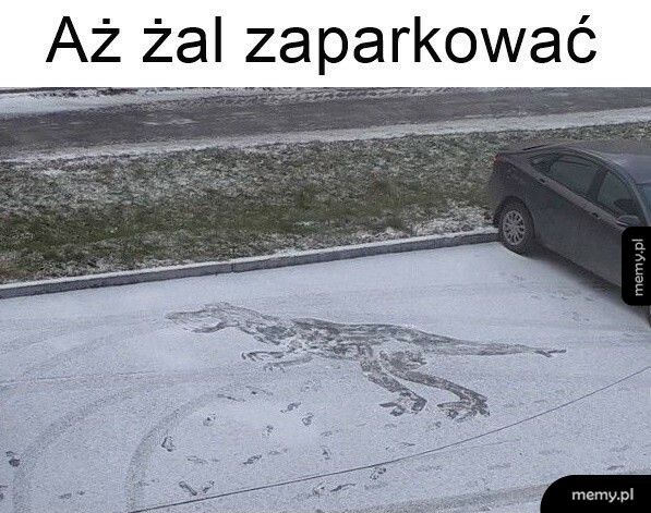 Żal parkować