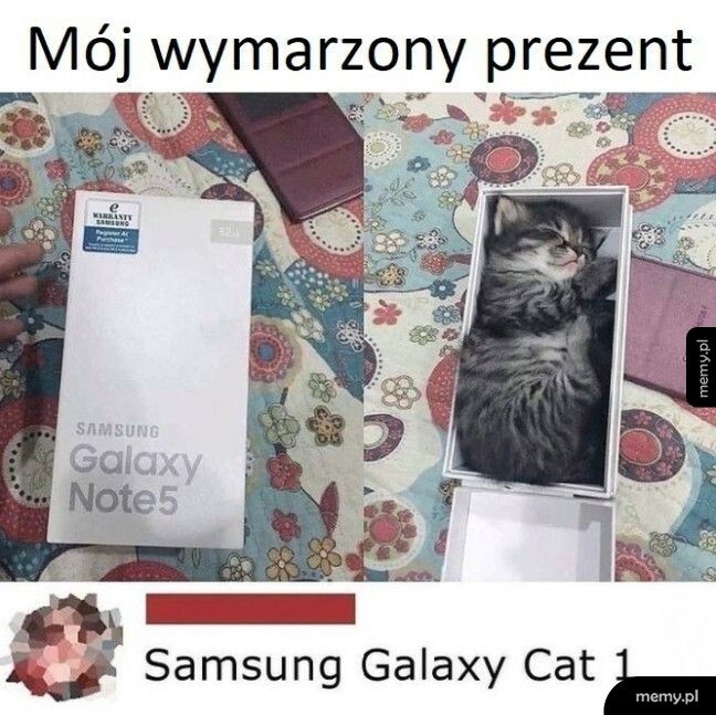 Wymarzony prezent