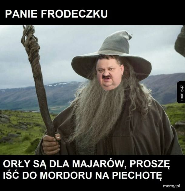 Areczek ze śródziemia.