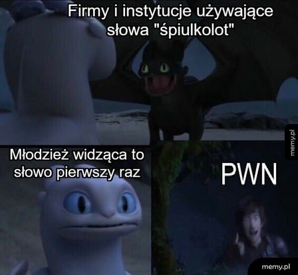 Młodzieżowe słowo roku