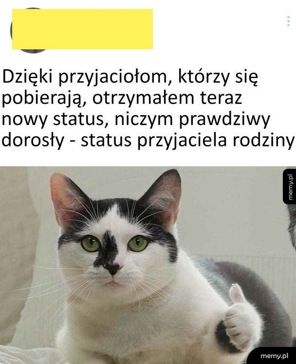 Nowy status