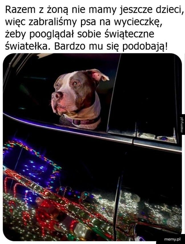 Świąteczna wycieczka