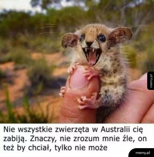 Zwierzęta w Australii