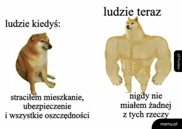 Nie masz, nie tracisz