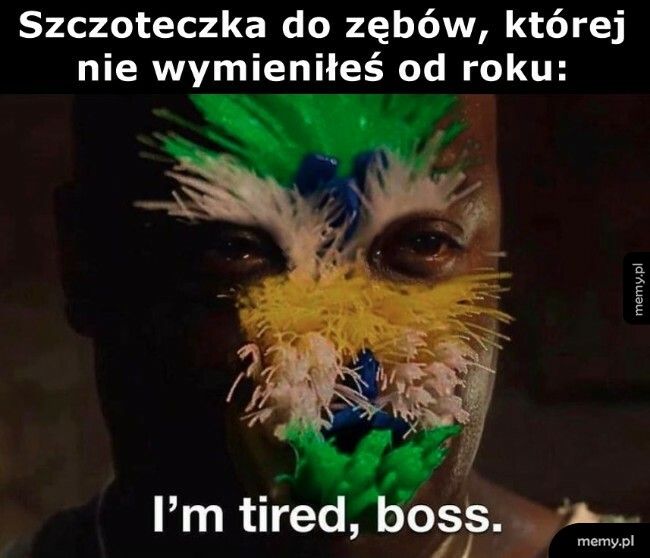 Szczoteczka do zębów