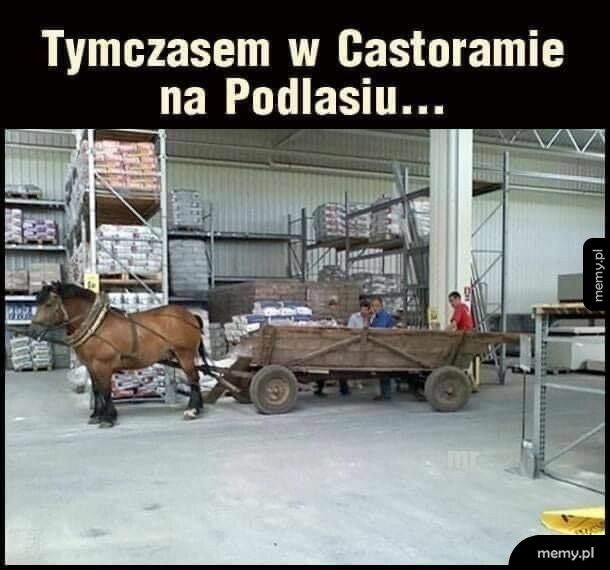 Castorama